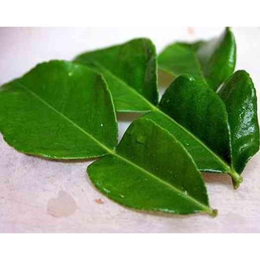 500gr lá bưởi khô sạch thu hái từ cây nhà trồng - hàng nhà làm thủ công