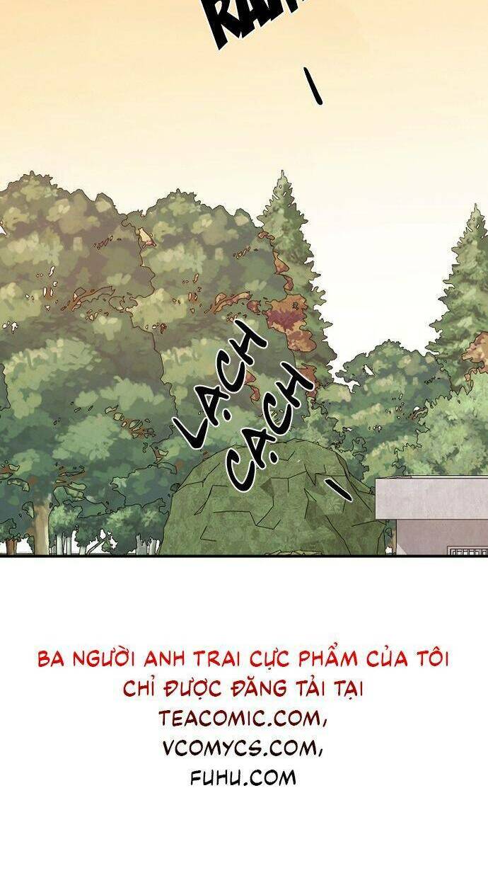 ba người anh trai cực phẩm của tôi chapter 49 15