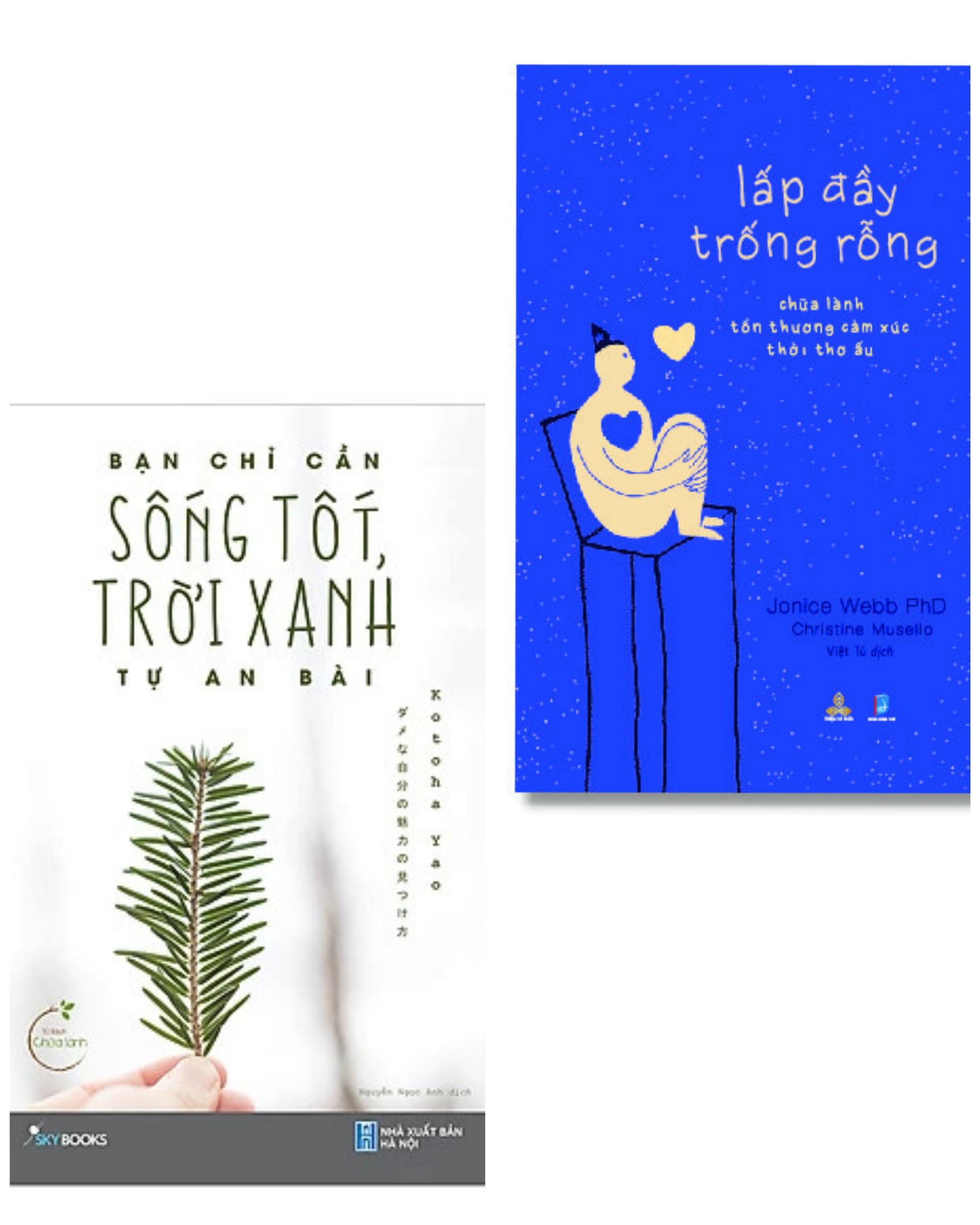 Combo 2 cuốn: Bạn Chỉ Cần Sống Tốt, Trời Xanh Tự An Bài + Lấp Đầy Trống Rỗng-Chữa Lành Tổn Thương Cảm Xúc Thời Thơ Ấu