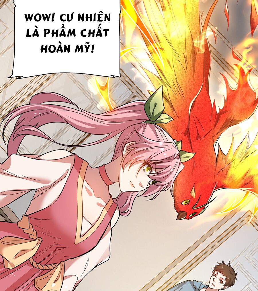 hệ thống mô phỏng linh sủng chapter 11 31