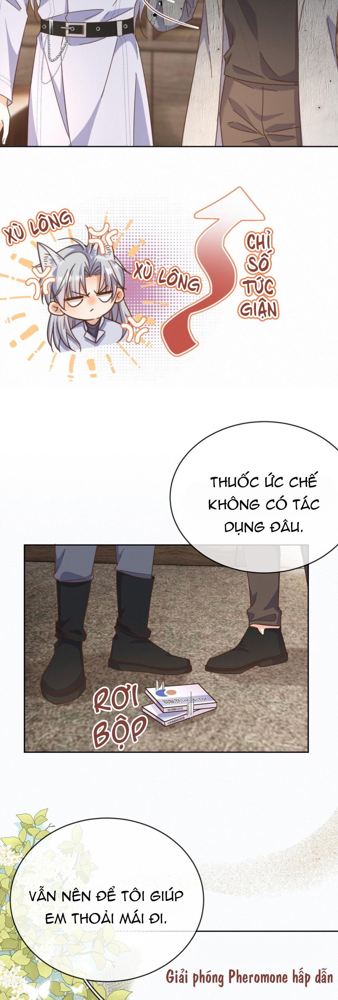 giang sơn tuyệt mỹ không bằng nàng chapter 162 19