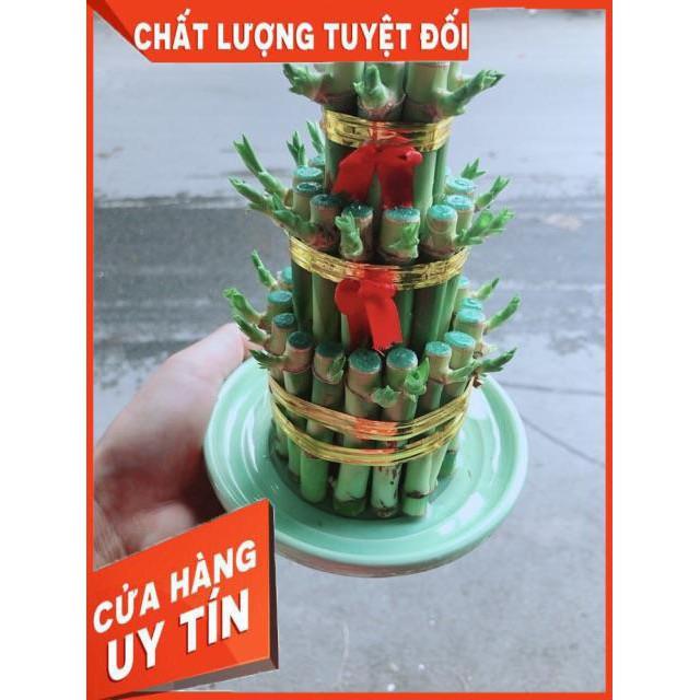 Trúc Phát Tài 3 Tầng