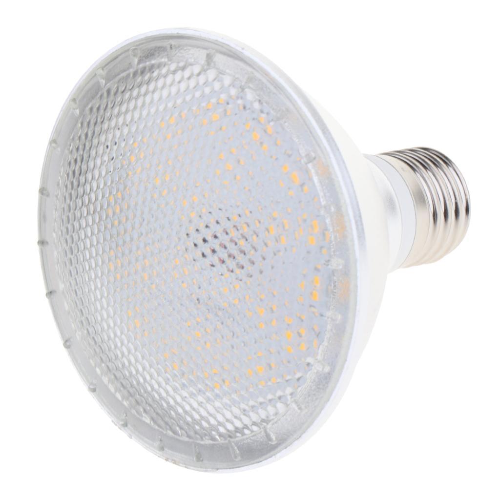 2x E27 10W PAR30 3000K / 6000-6500K LED Bulb Replacement Bulb