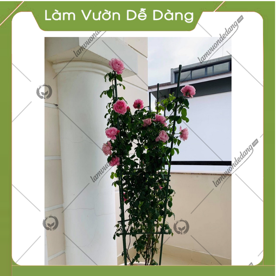 COMBO 2 KHUNG TRỒNG CÂY HÌNH TỨ GIÁC