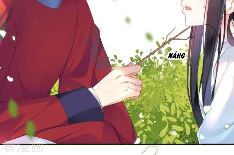 vương gia, áo lót của ngươi rơi mất rồi chapter 6 37