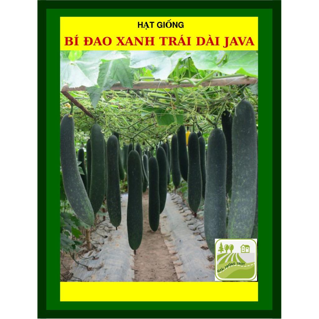 Hạt Giống Bí Đao Xanh Trái Dài F1 Java 0.2 Gram