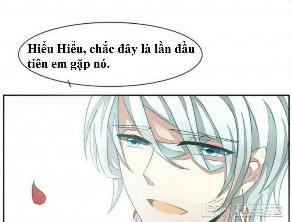 vị hôn thê bỏ trốn chapter 5 24