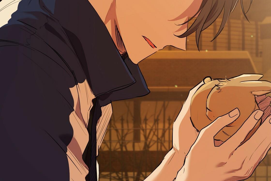 đàn thỏ của habibi chapter 24 4