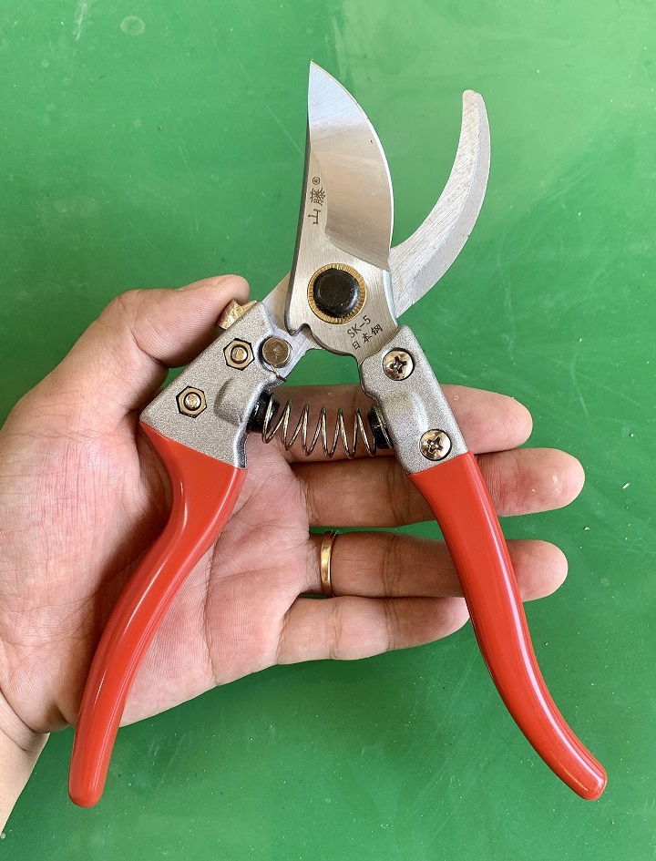 Kéo Cắt Tỉa Cành Cây - Kéo Cắt Cành Siêu Sắc Bền Tặng Kèm Lò Xo - Kéo SK5 Delow