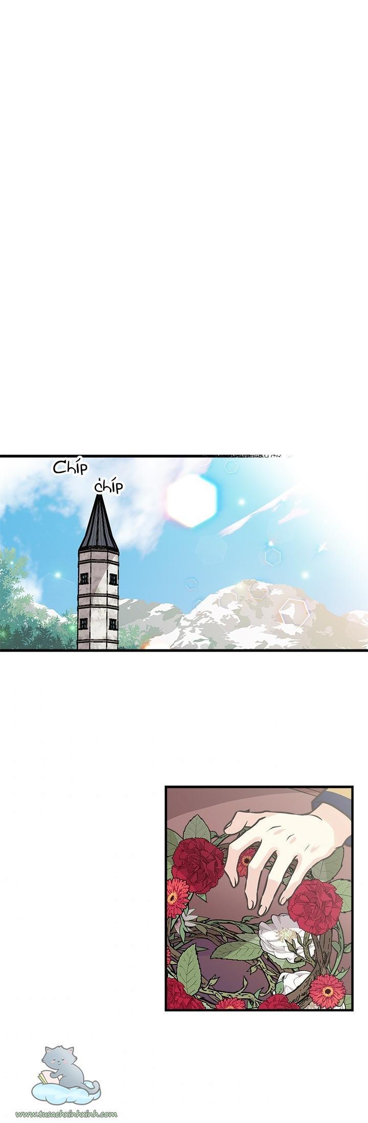 chị tôi nhặt về nam chính của tiểu thuyết chapter 55 42