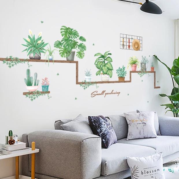 Decal trang trí tường - Kệ gỗ cùng những chậu cây xinh