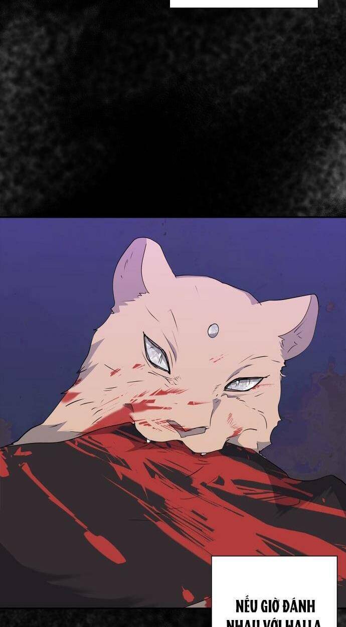 tôi đang nuôi dưỡng một con quái thú chapter 78 62