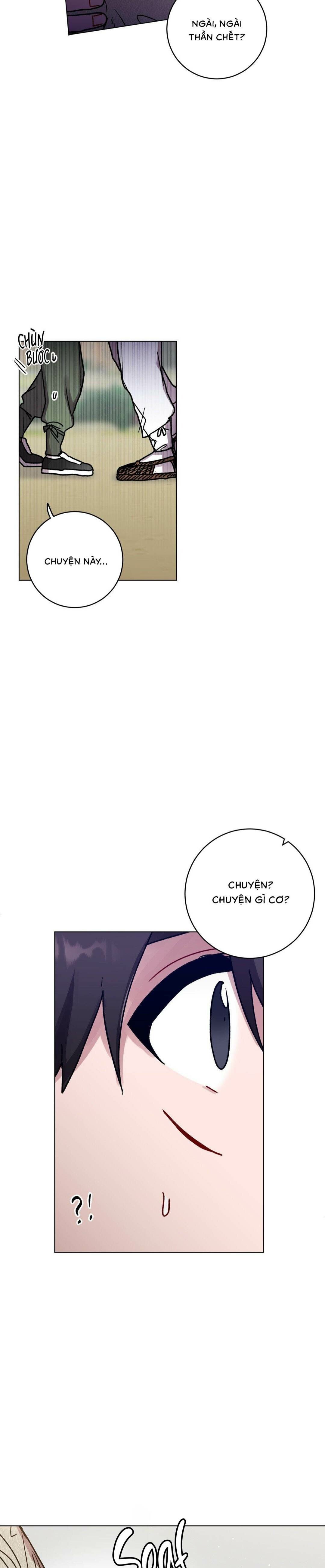 cơn mưa rào mùa hạ chapter 86 19