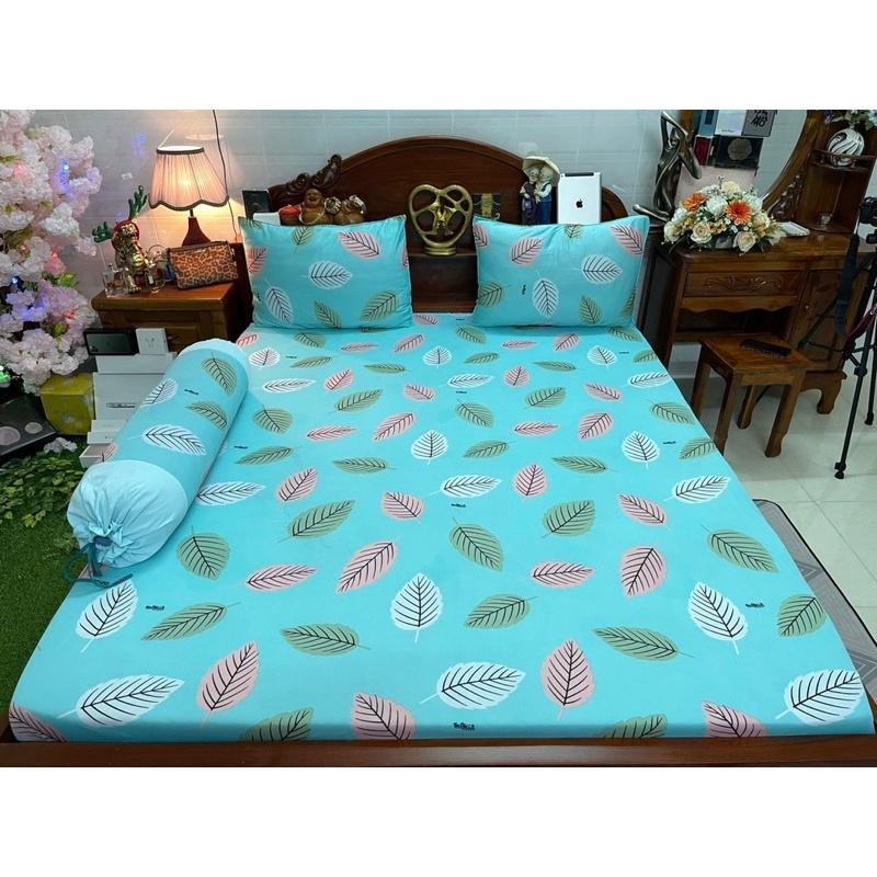 Drap thun hàn quốc