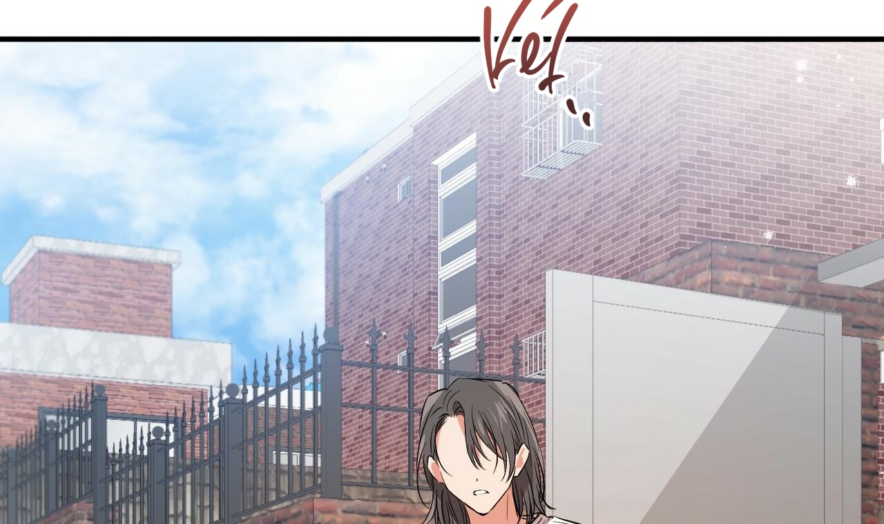 những chú thỏ của hapypy chapter 56 73