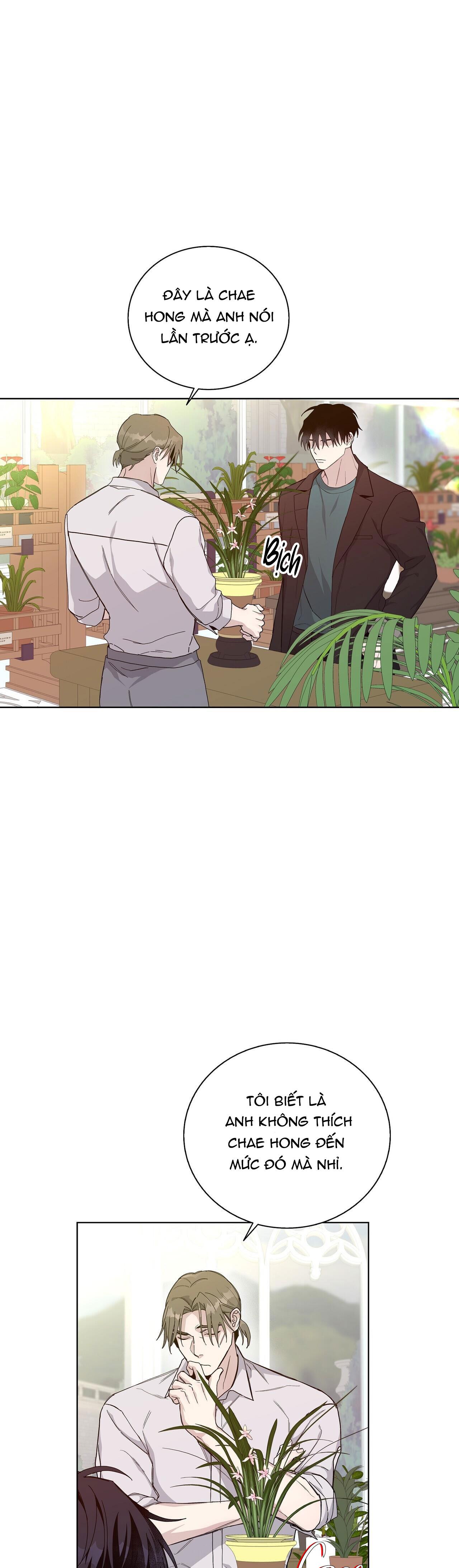 blaze out chapter 24 2