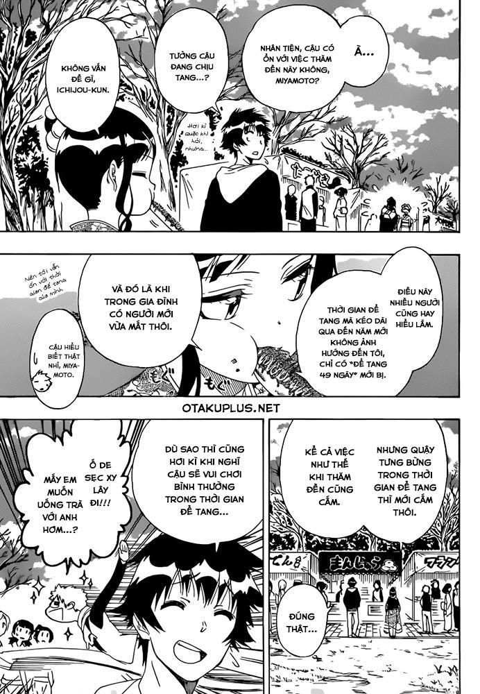 nisekoi - tình yêu giả tạo chapter 172 12