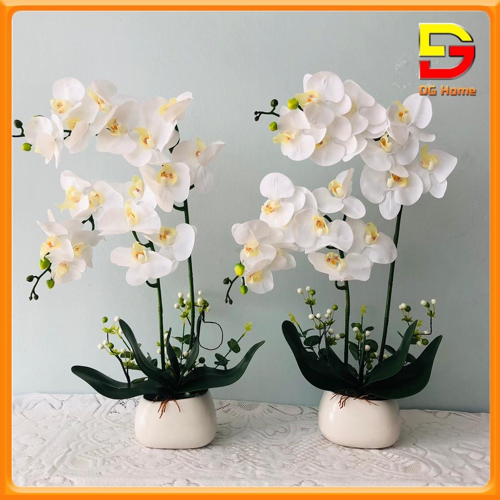 Bình Hoa Giả Để Bàn Hoa Lan Hồ Điệp Sang Trọng Cao 60cm Trang Trí Nhà Cửa Làm Quà Tặng Ý Nghĩa DG-27