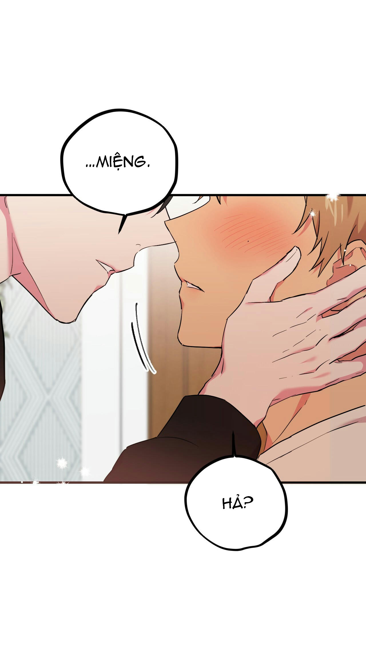 những chú thỏ của hapypy chapter 4 72