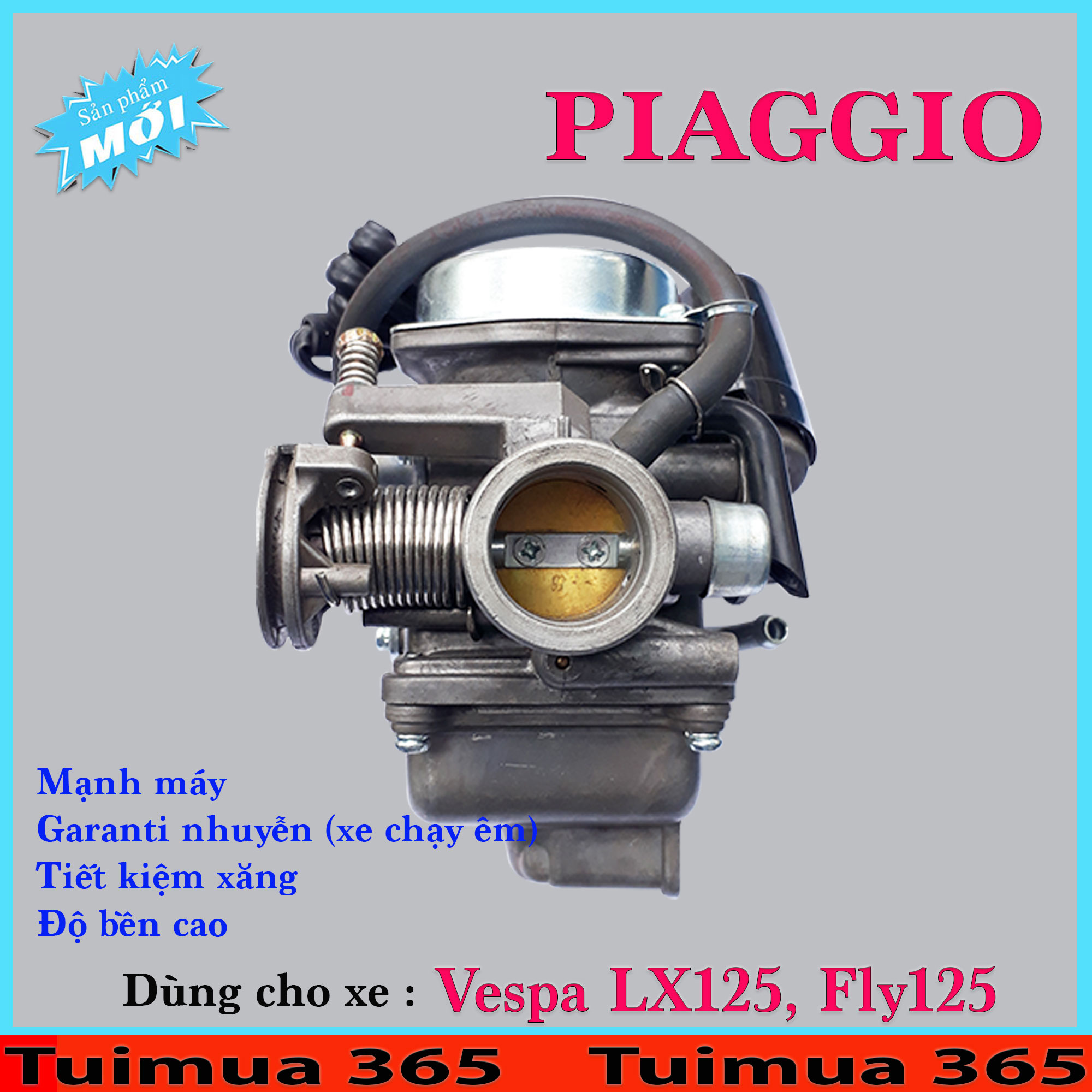 Bình Xăng Con (Bộ Chế Hòa Khí ) dành cho Vespa LX125, Fly125