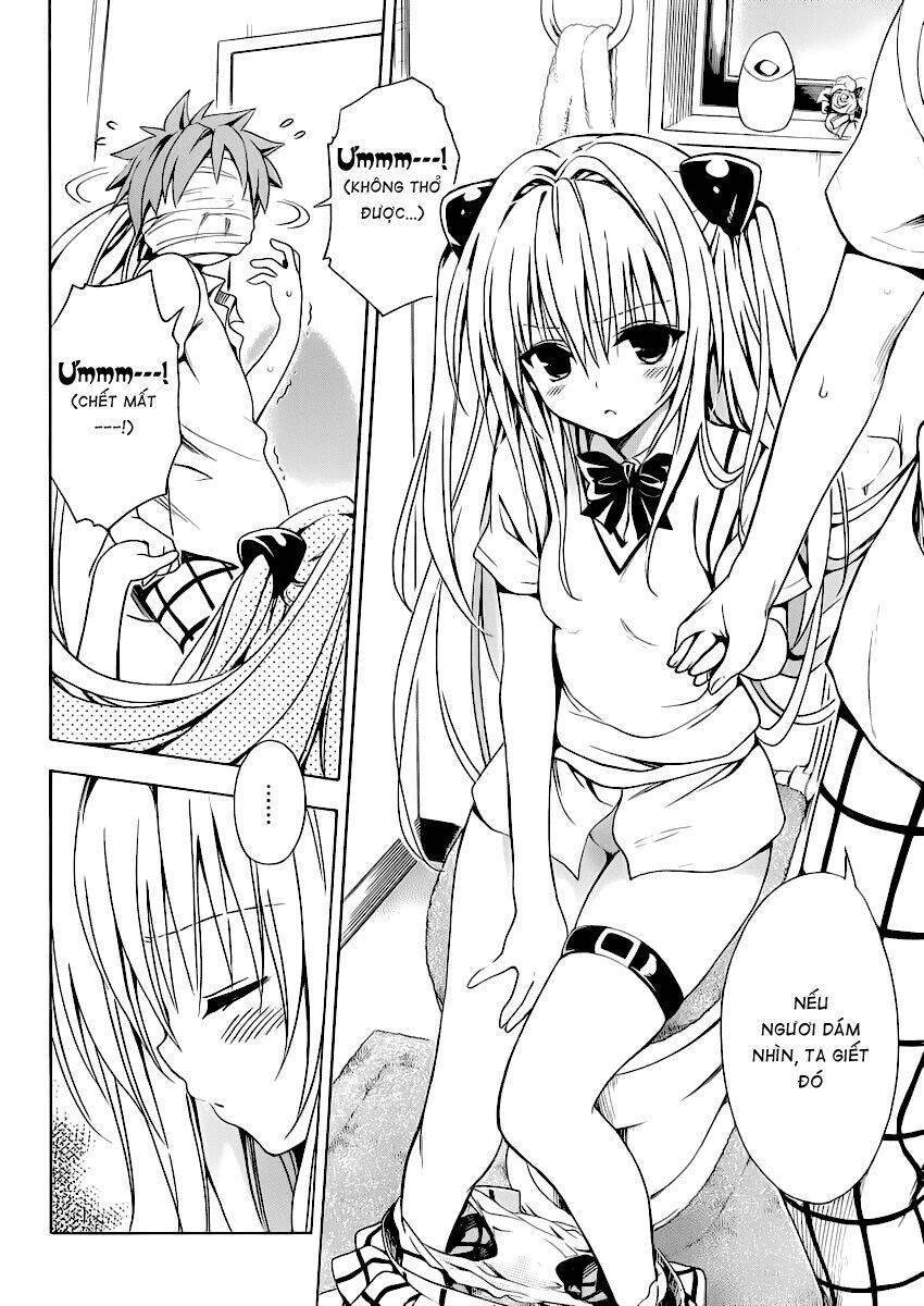 bọn tớ thích cậu! rito 2 - venus chapter 14 21