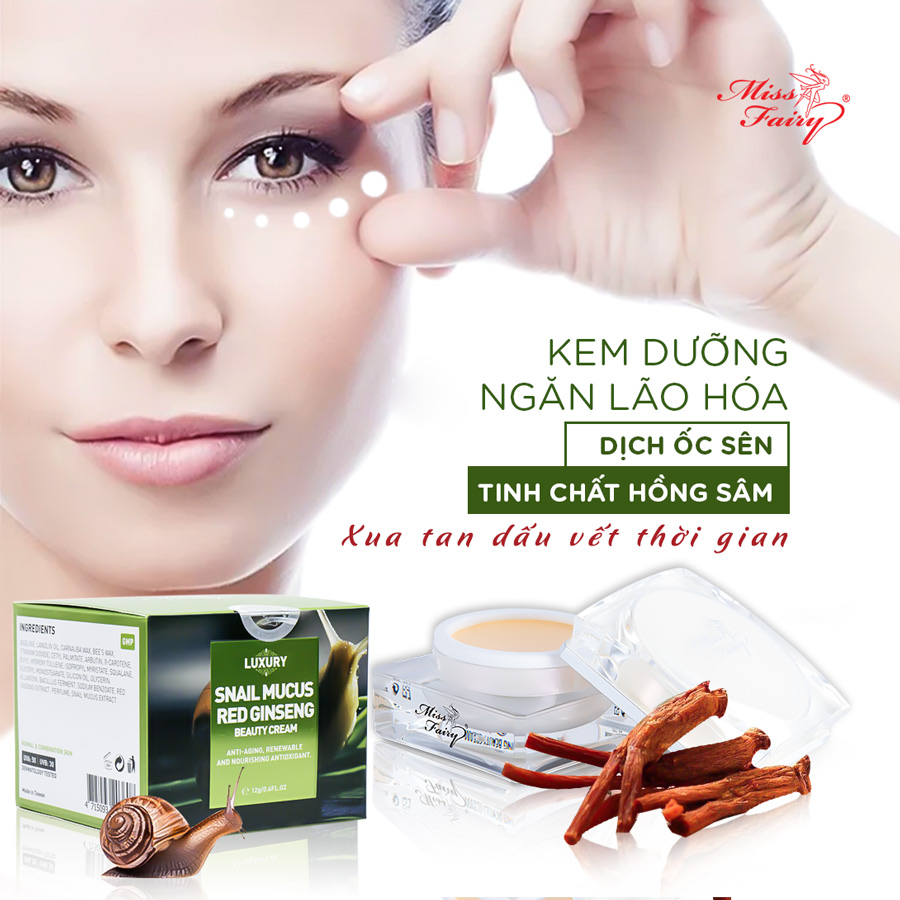 Kem Dưỡng Chống Lão Hóa Tinh Chất Hồng Sâm Và Dịch Ốc Sên Miss Fairy (12g)