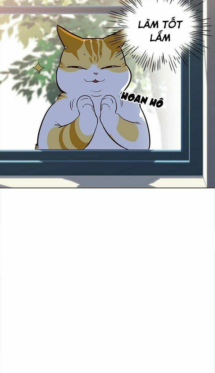 biến thân thành mèo chapter 18 47