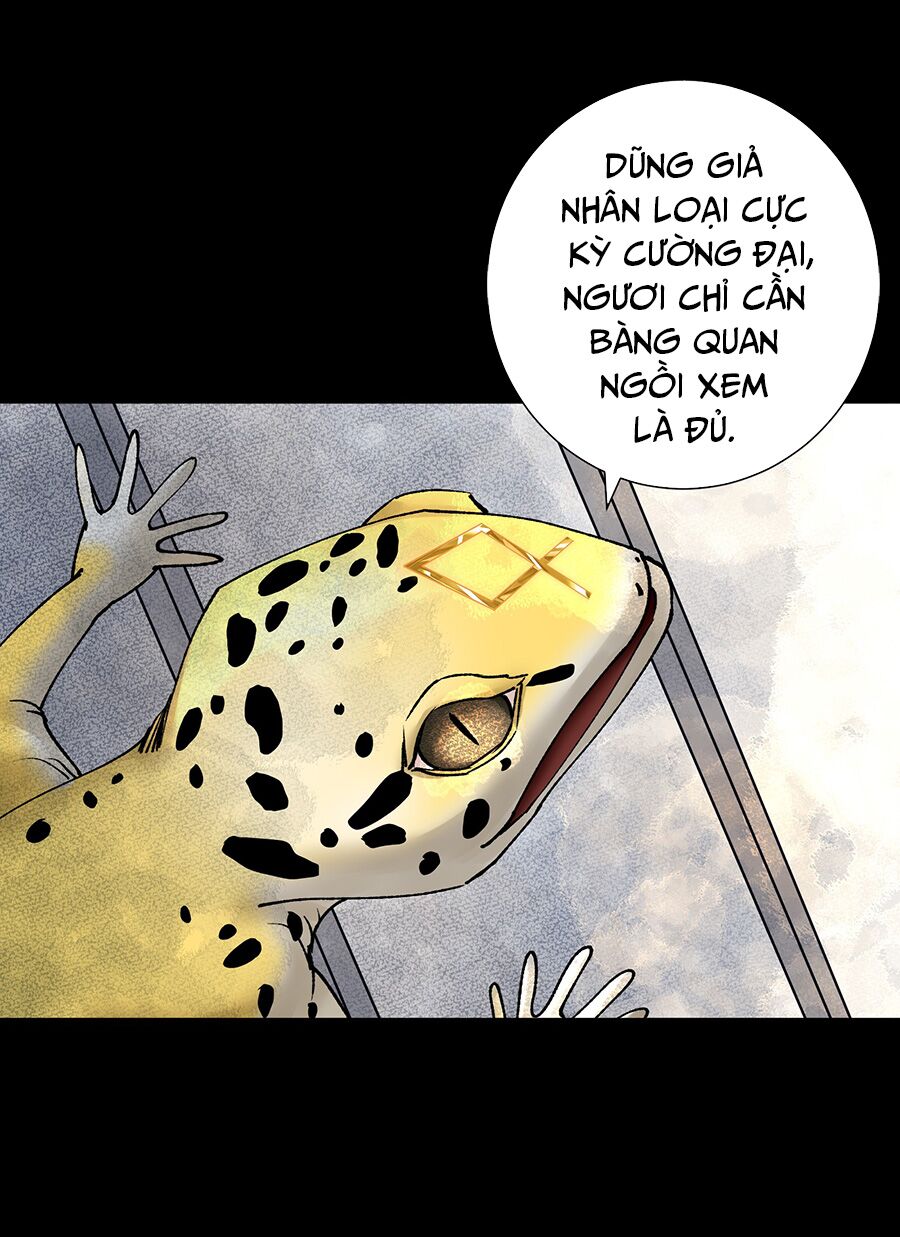 bản giáo chủ thân bất do kỷ chapter 38 14