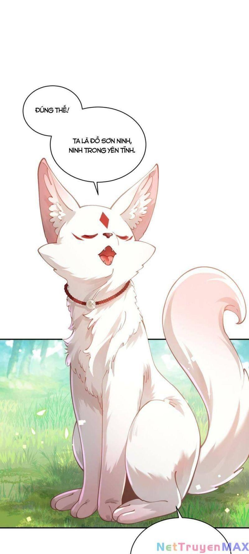 bói toán mà thôi, cửu vĩ yêu đế sao lại thành nương tử ta?! chapter 22 45