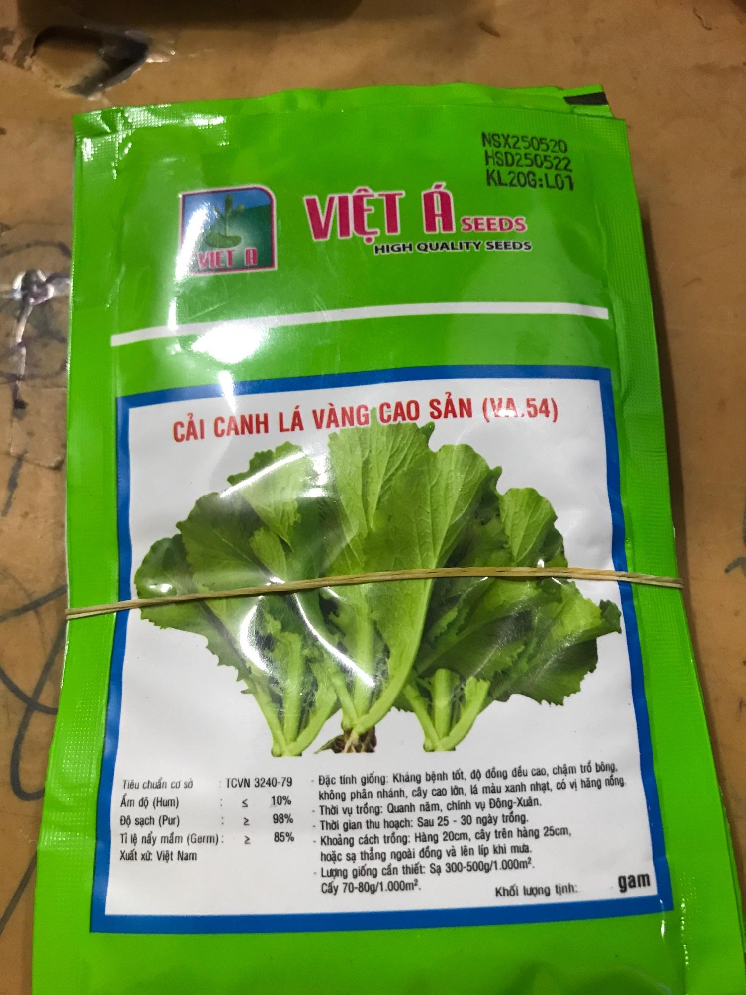Hạt giống cải canh lá vàng cao sản