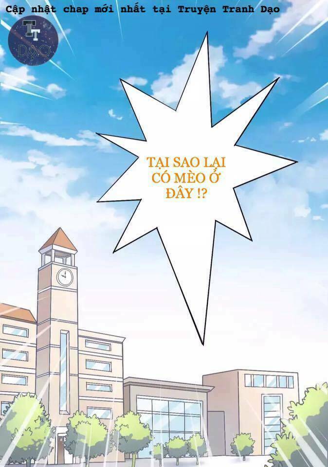 dưới móng vuốt mèo chapter 21 41