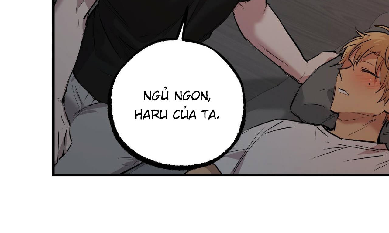 đàn thỏ của habibi chapter 52 228