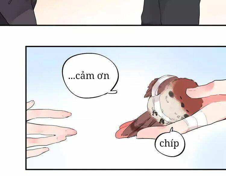 sos! tôi đã yêu một con sâu bướm (phần 2) chapter 26 11