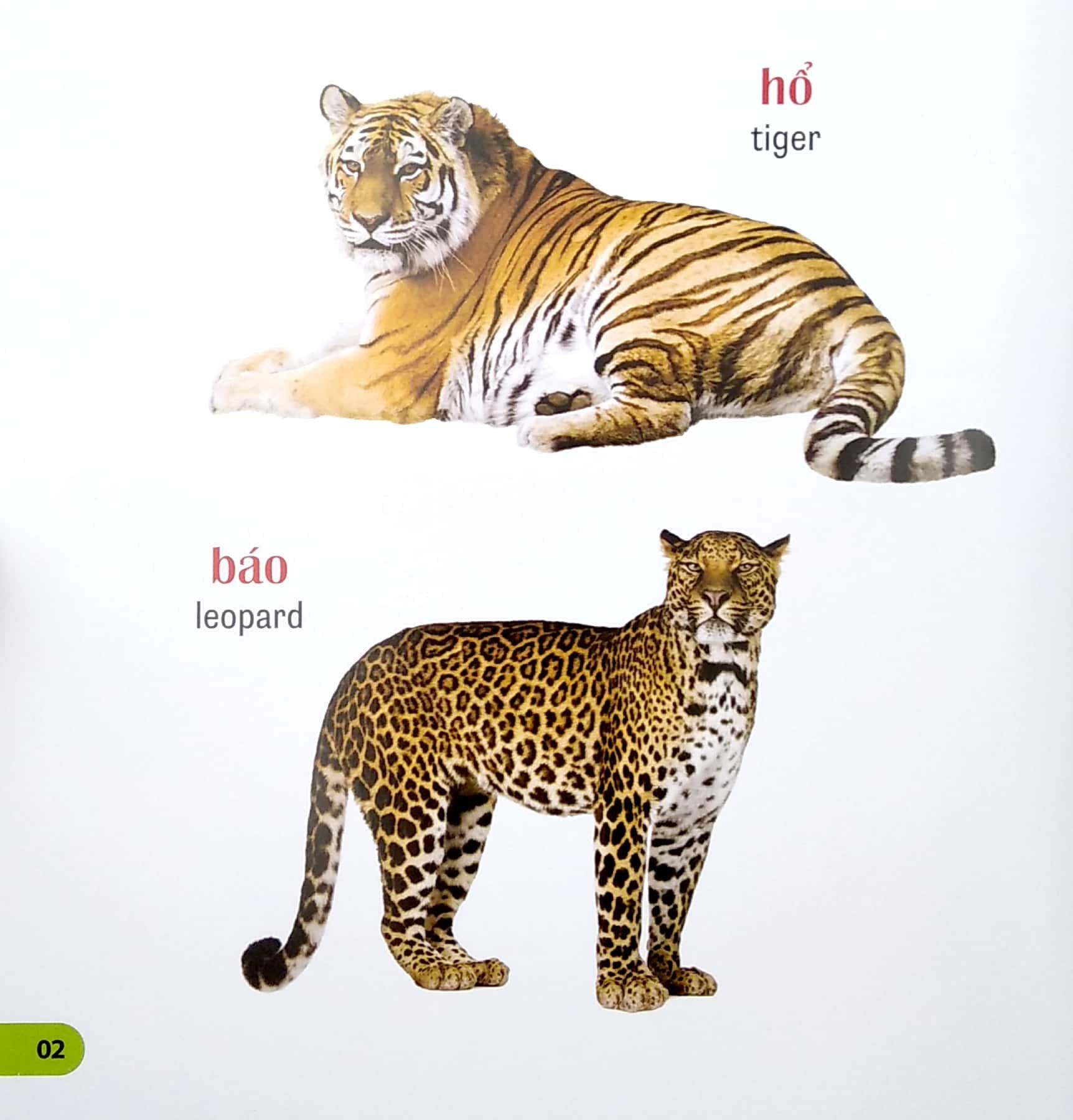 100 Từ Đầu Tiên Của Bé - Các Loài Vật