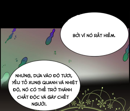 mong ước tuyệt vọng của một phù thủy chapter 4 27