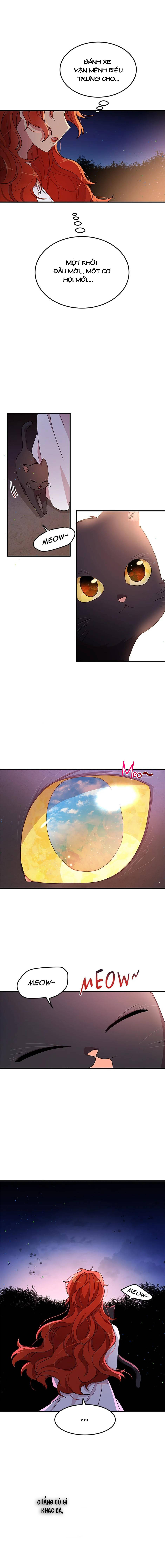 tại sao ngài làm điều này, công tước chapter 81 3