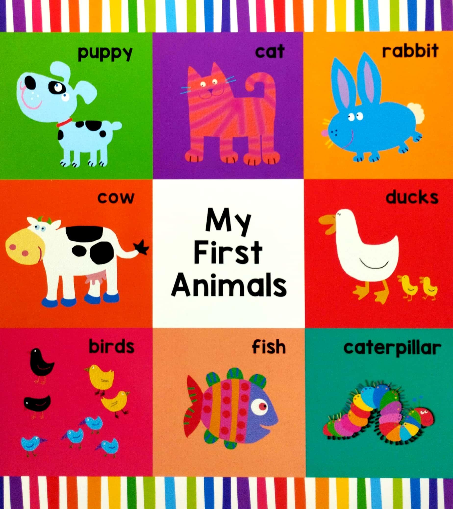 My First Learning Board Book