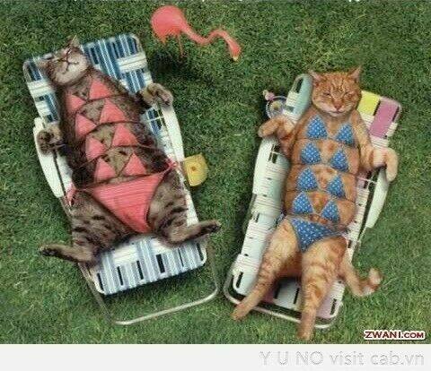 rage comic-troll chapter 67 8