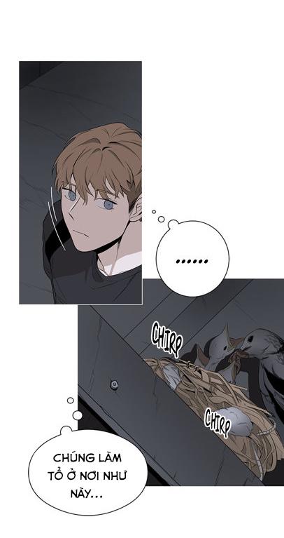 loài chim không bay chapter 1 8