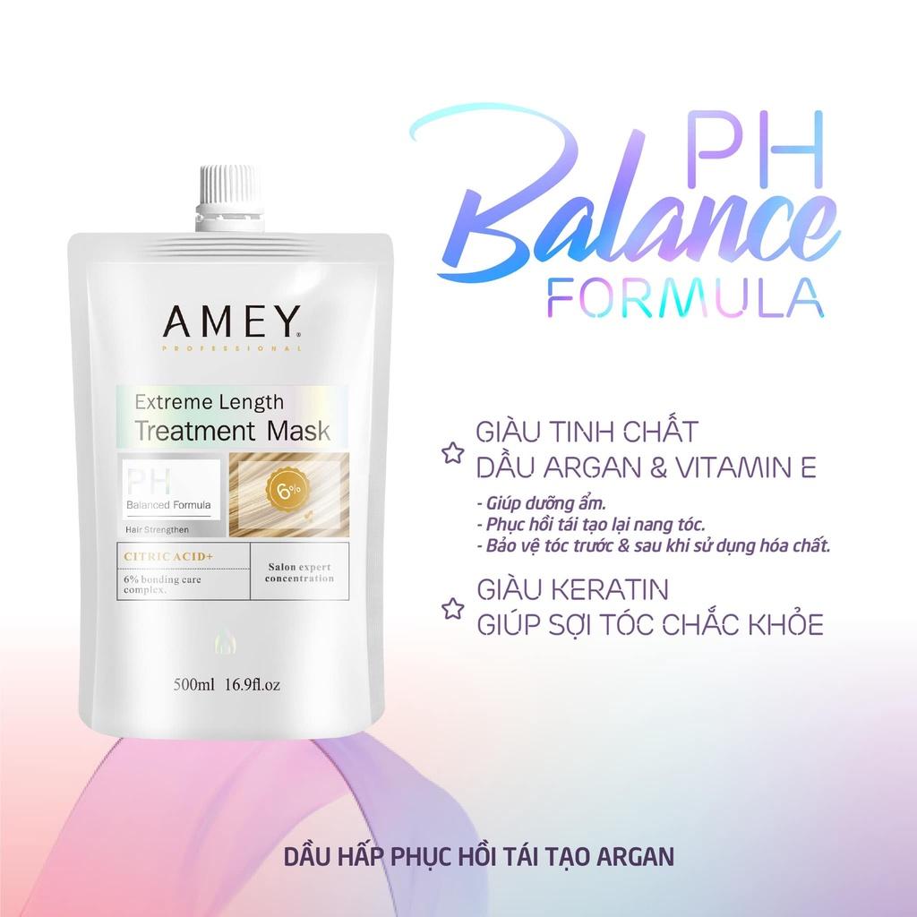 Phục hồi tóc hư tổn AMEY 500ml