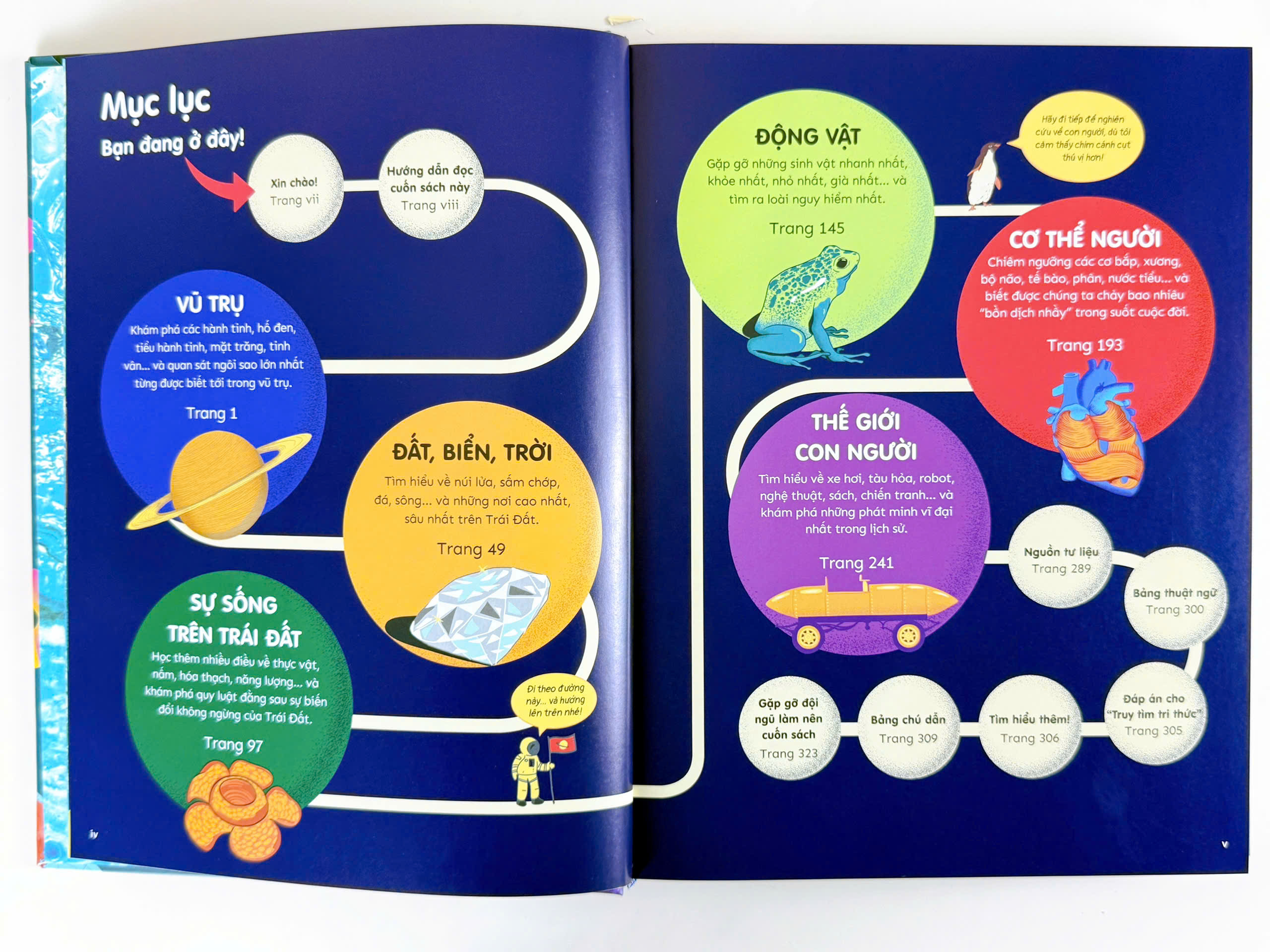 Sách - Bách Khoa Thư Bằng Đồ Họa - Bìa Cứng