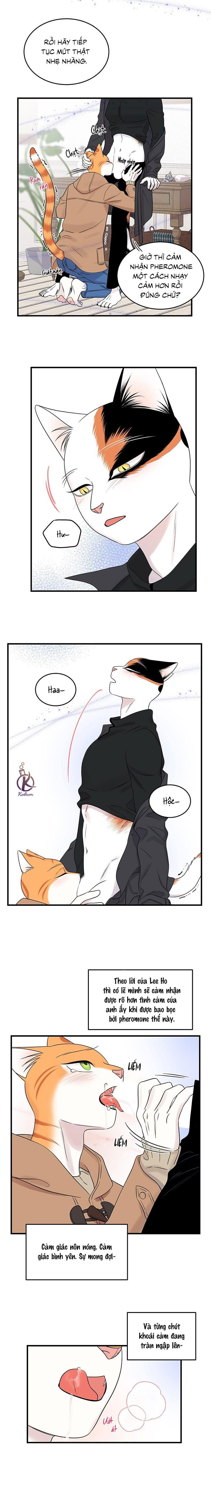 dự án xanh chapter 55 6