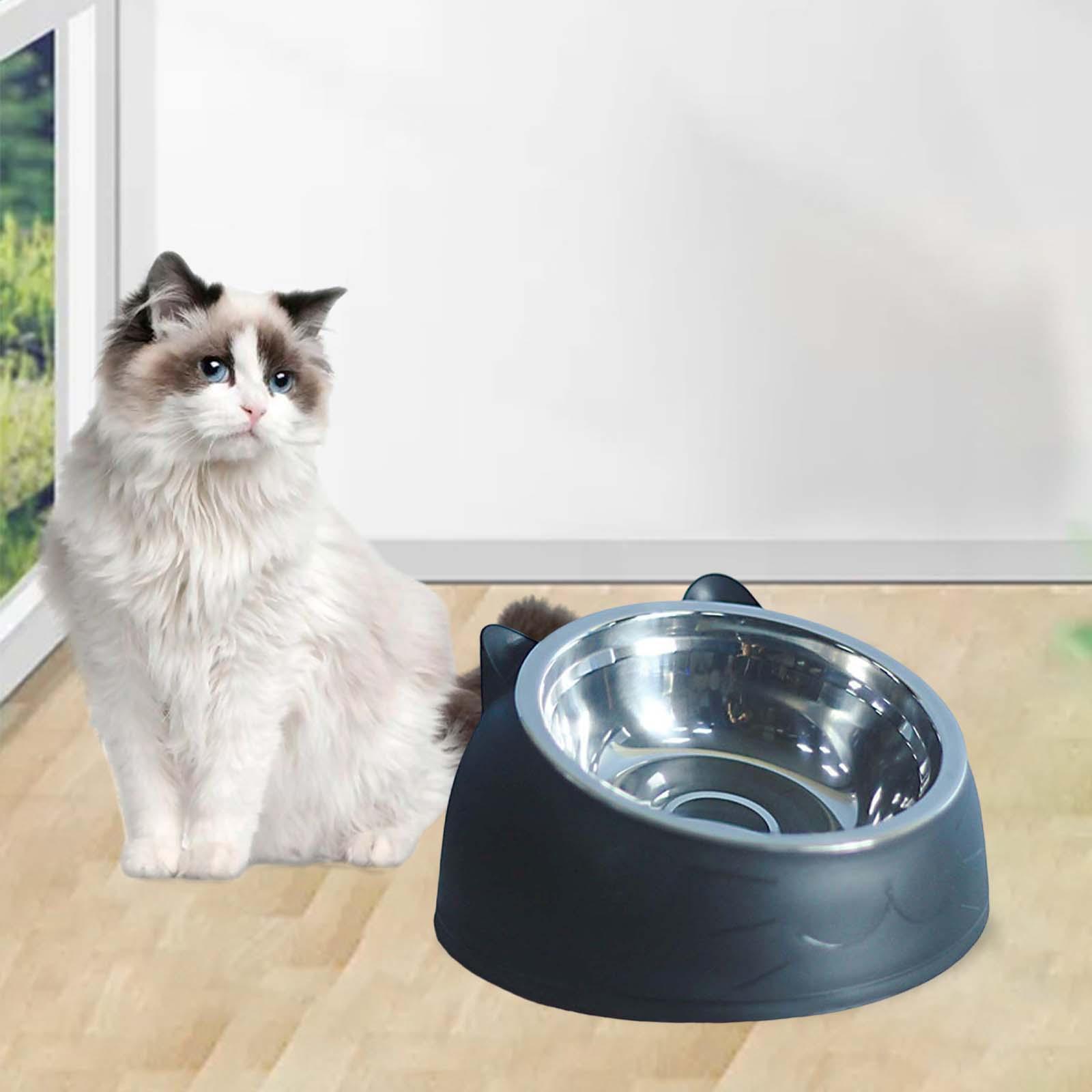 Cat Dog Bowl Raised Tilted Elevated Non Slip Pet Container for Dog