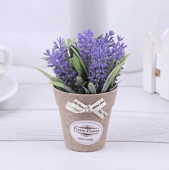 Chậu hoa lavender mini dễ thương trang trí