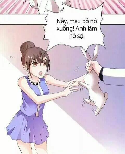 1 nửa hoàn hảo của ceo chapter 21 21