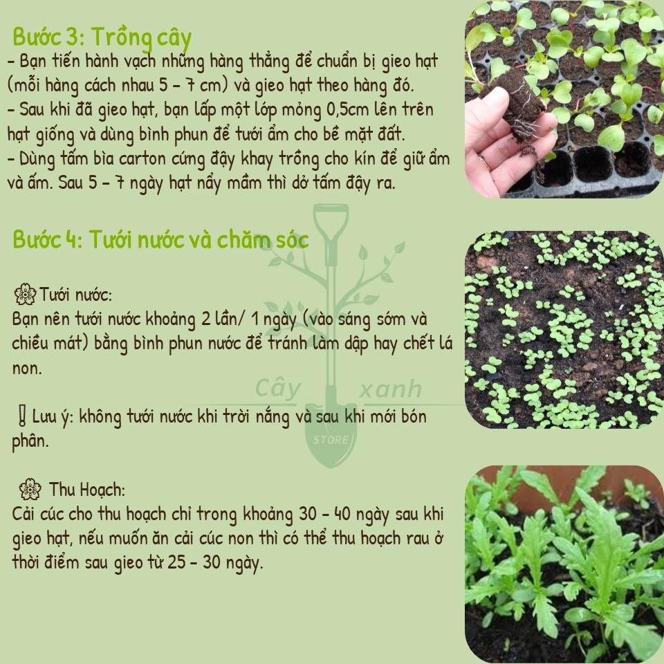 Hạt Giống Rau Cải Cúc Nếp, Tần Ô Lá Tròn 20Gr - Phú Nông Seeds