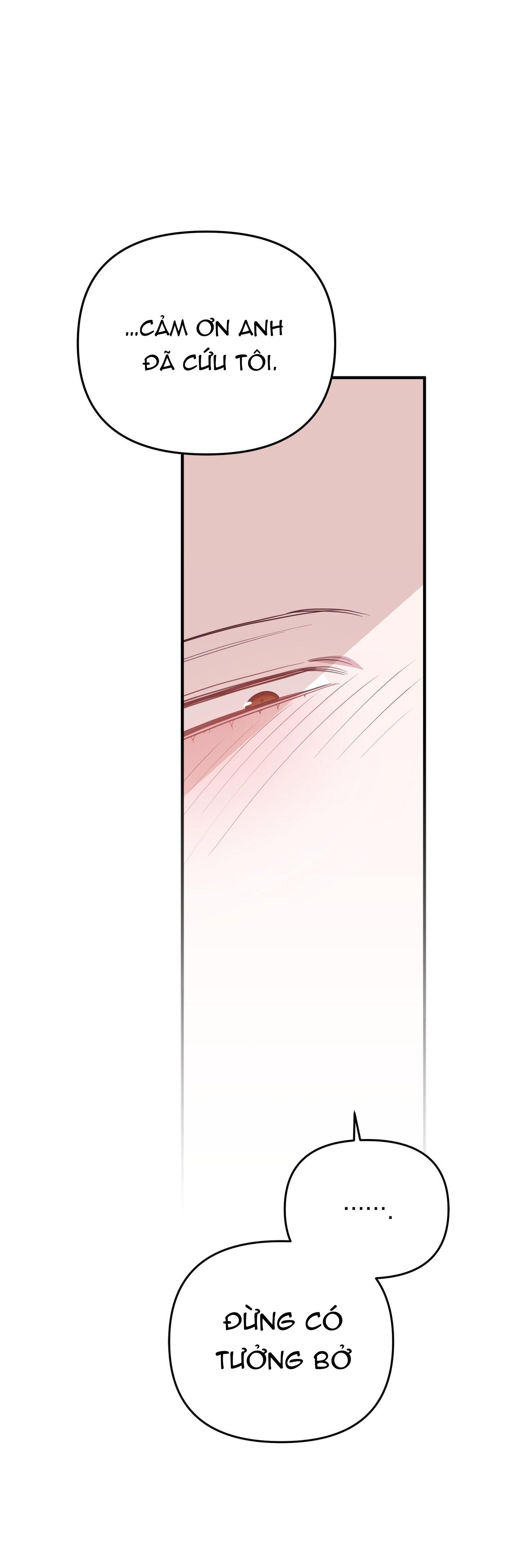 hổ trở về chapter 42 31