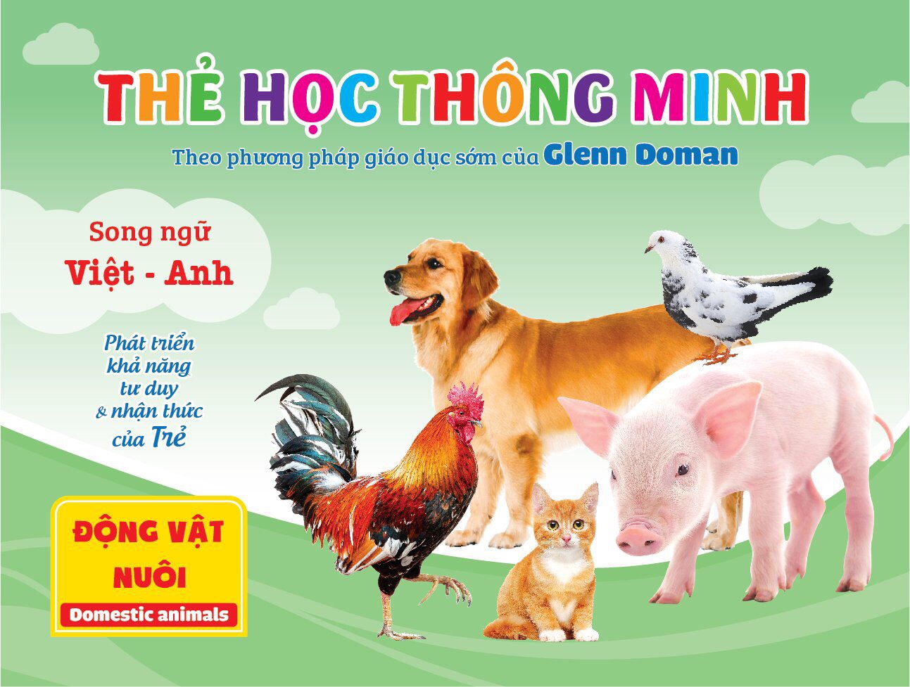 Flashcard cho bé theo phương pháp Glenn Doman - Bộ thẻ học thông minh