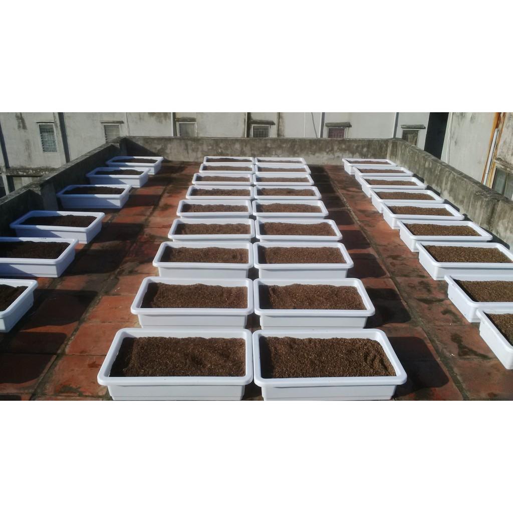 Đất Sạch Giàu Dinh Dưỡng Sạch Mầm Bệnh