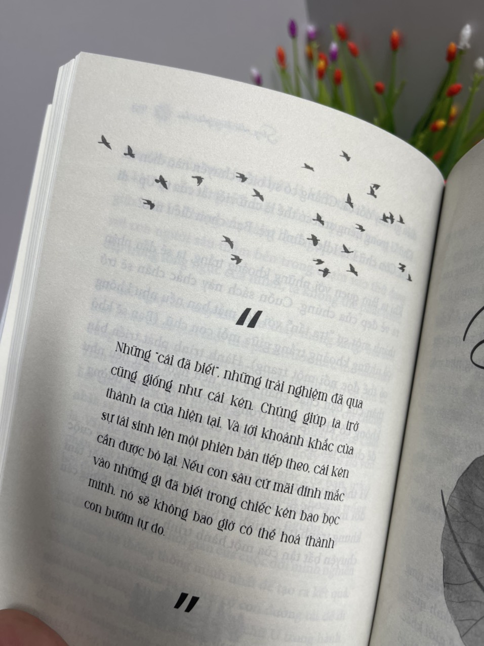 SỐNG NHƯ BÔNG PH.Á.O H.O.A - Hành trình khám phá điều quý giá nhất cuộc đời – Ruby Nguyen – Thái Hà- NXB Hà Nội